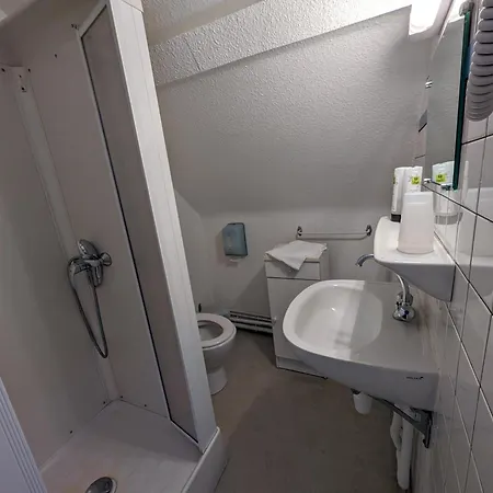 Hotel Beau Site Restaurant Et Chambon-sur-Lac