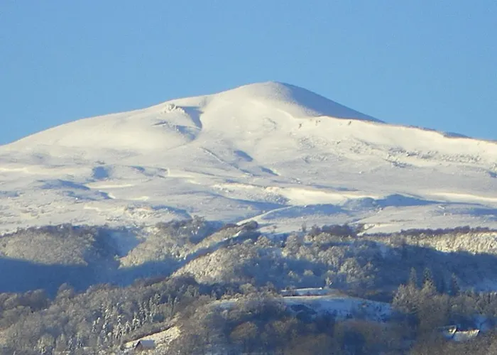 Logis Hotel Restaurant Spa Le Beau Site Шамбон-сюр-Лак