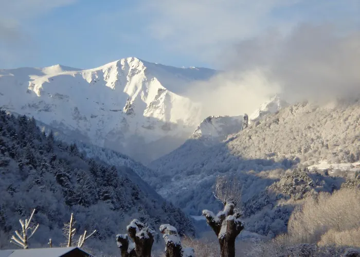 Отель Logis Hotel Restaurant Spa Le Beau Site Шамбон-сюр-Лак